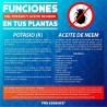 NK JABON POTASICO CON ACEITE NEEM 100 CC
