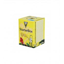 STARTER BOX SUELO HESI