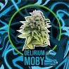 DELIRIUM MOBY AUTO