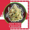 NEW YORK CHEESE AUTO