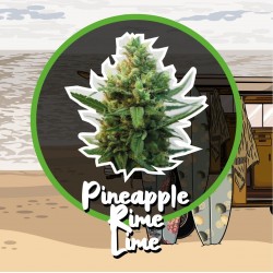 PINEAPPLE RIME LIME AUTO