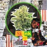 SKUNK POP CULTURE AUTO