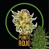 PUNTO ROJO FEM