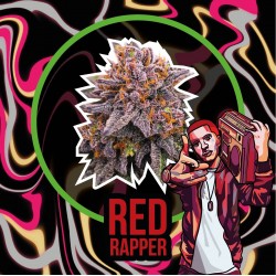 RED RAPPER FEM x4