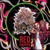 RED RAPPER FEM x4