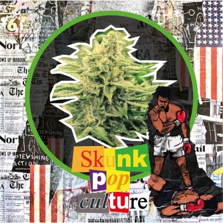 SKUNK POP CULTURE FEM