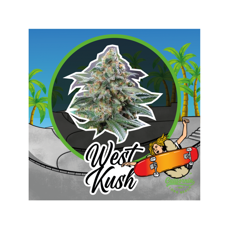 WEST KUSH FEM