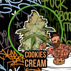 COOKIES CREAM FAST VERSION