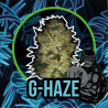G-HAZE FAST VERSION