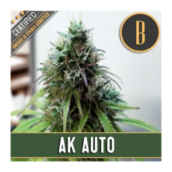 Auto AK x3