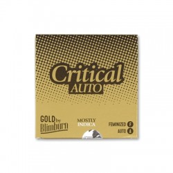 AUTO CRITICAL x 3