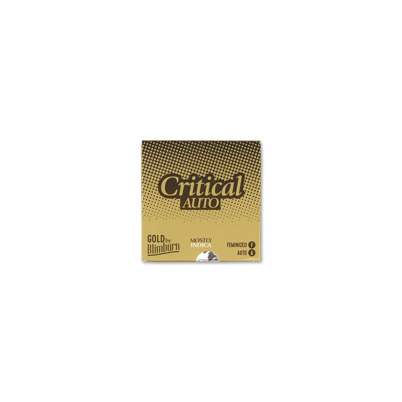AUTO CRITICAL x 3