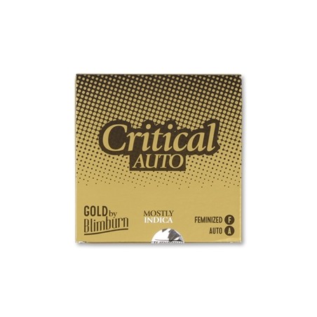 AUTO CRITICAL x 3