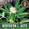 AUTO NORTHERN L. x 3