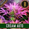 AUTO CREAM x 3