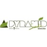 pyramid seeds