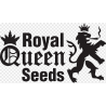 ROYAL QUEEN