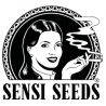 SENSI SEEDS